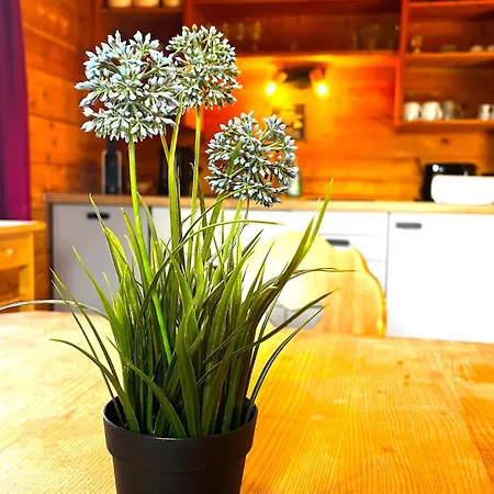 Mit Schlierseeblick, Neue Kueche Neues Bad Aparthotel